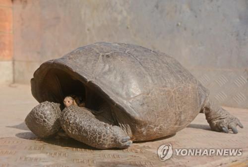 연합뉴스