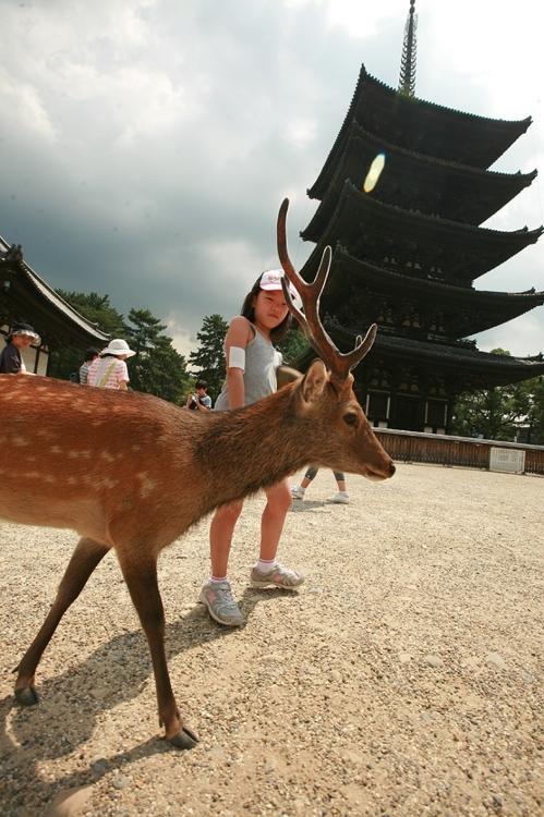 연합뉴스