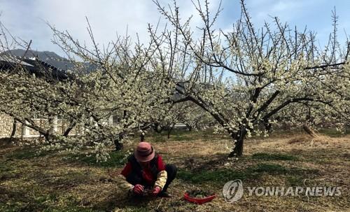 연합뉴스