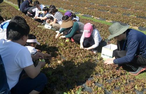 연합뉴스