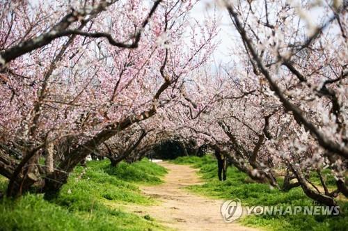 연합뉴스