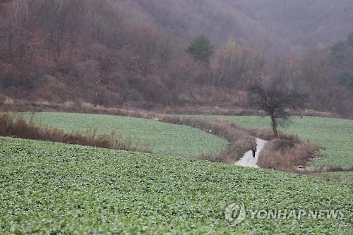 연합뉴스