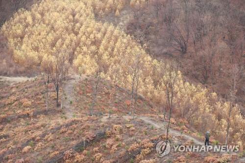 연합뉴스