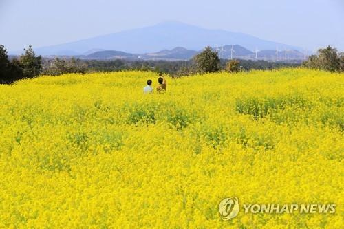 연합뉴스