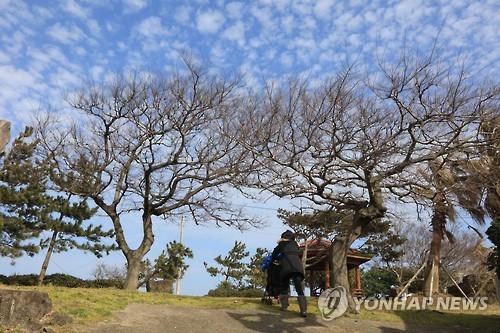 연합뉴스