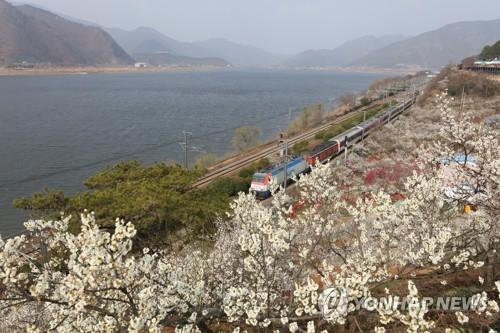 연합뉴스