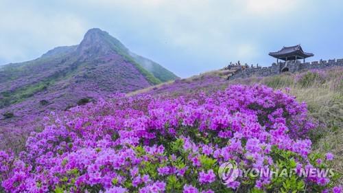 연합뉴스