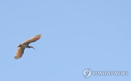 연합뉴스