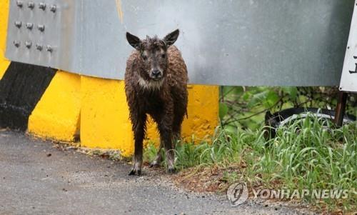 연합뉴스