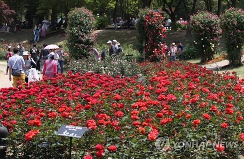 연합뉴스