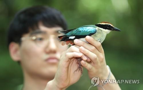 연합뉴스