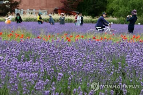 연합뉴스