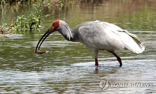 연합뉴스