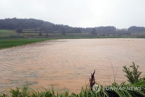 연합뉴스