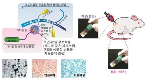 연합뉴스