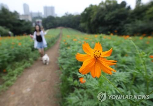 연합뉴스