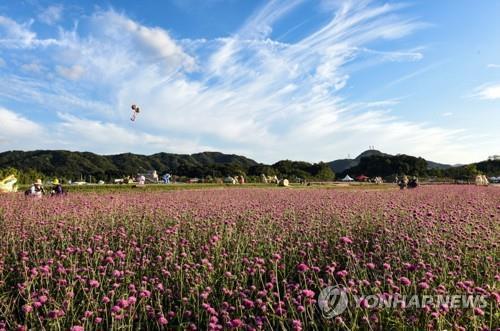 연합뉴스