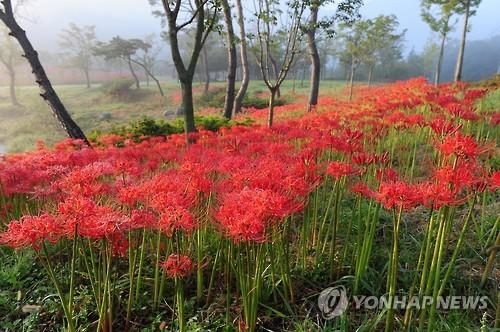 연합뉴스