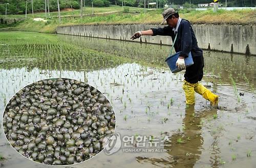 연합뉴스