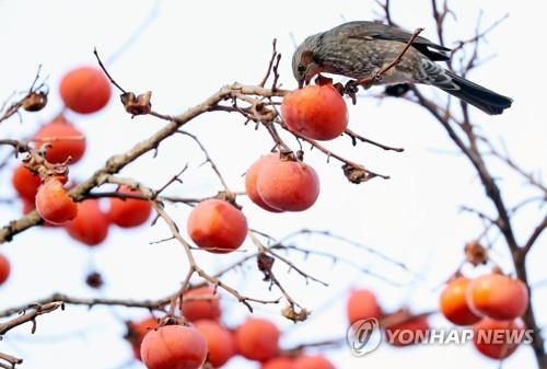 연합뉴스