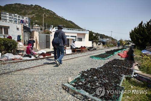 연합뉴스