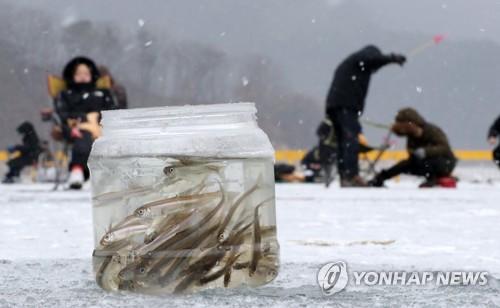 연합뉴스