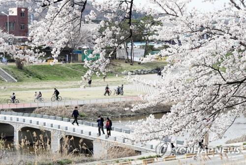 연합뉴스