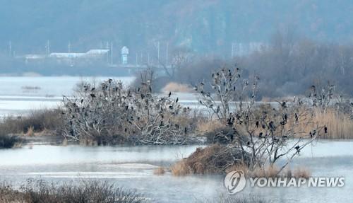 연합뉴스