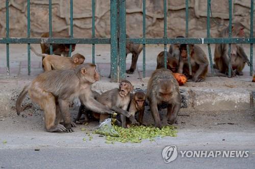 연합뉴스