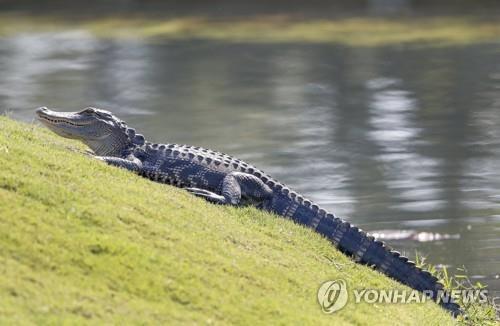 연합뉴스