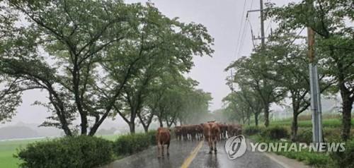 연합뉴스