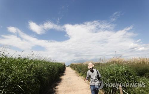 연합뉴스