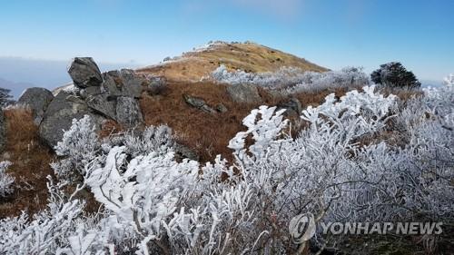 연합뉴스