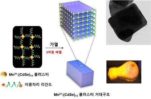 연합뉴스