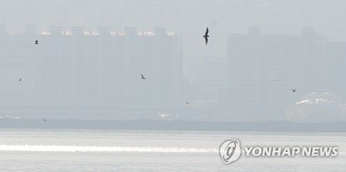 연합뉴스