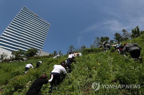 연합뉴스