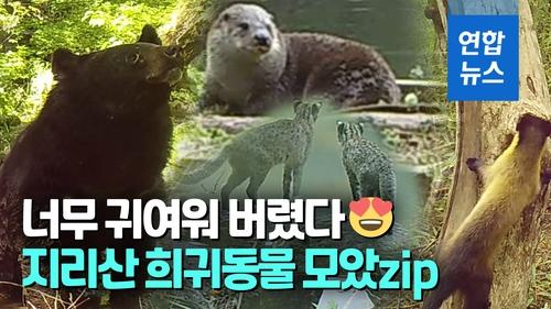 연합뉴스