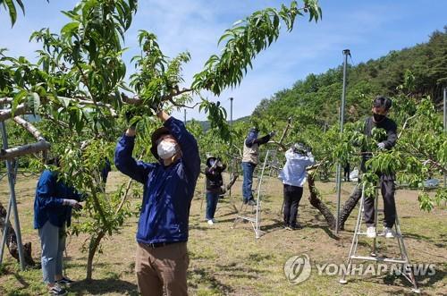 연합뉴스