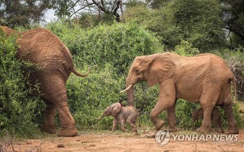 연합뉴스