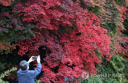 연합뉴스