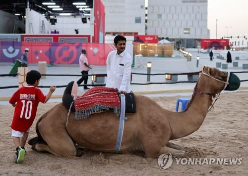 연합뉴스