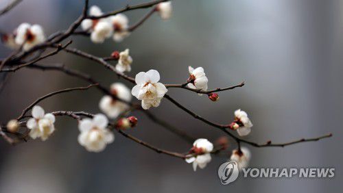 연합뉴스