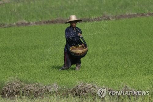 연합뉴스