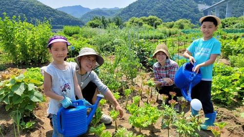 연합뉴스