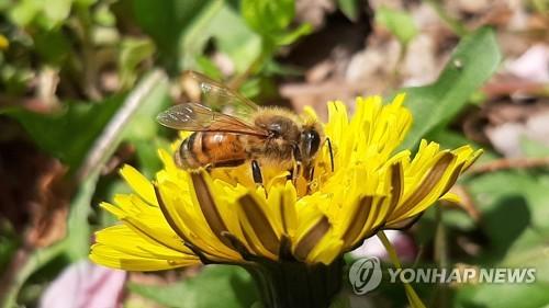 연합뉴스