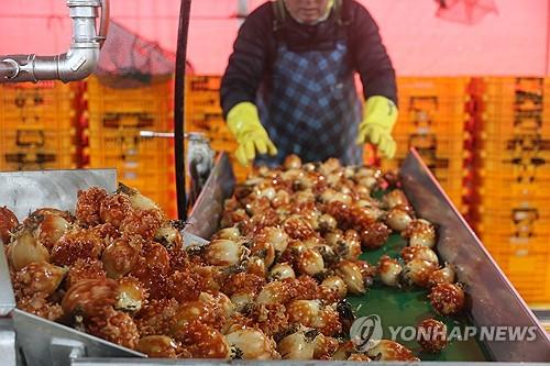 연합뉴스