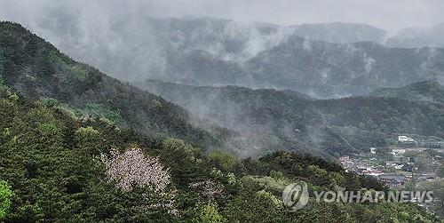 연합뉴스