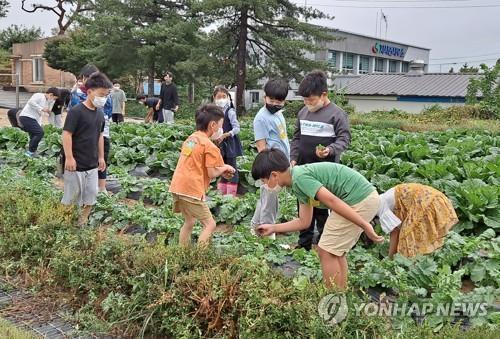 연합뉴스