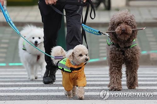 연합뉴스