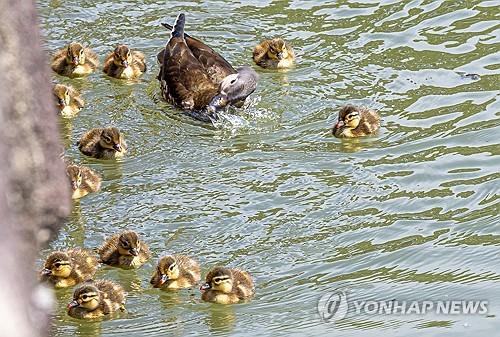 연합뉴스